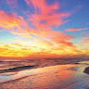 Meet your Posher, Perry